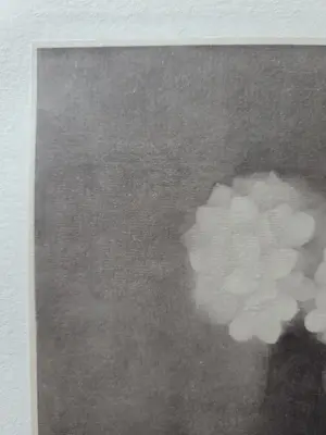Jan Mankes - Jasmijn bloesem. kopen? Bied vanaf 49!