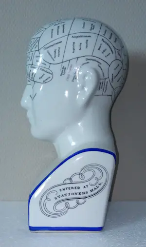 Curiosa - Phrenology hoofd van L.N.Fowler - Porselein kopen? Bied vanaf 50!