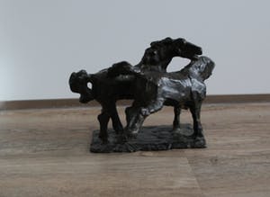 Frank Letterie - Frank Letterie - brons: 2 paarden kopen? Bied vanaf 799!