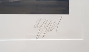 Karel Appel - Cat of the Night kopen? Bied vanaf 450!