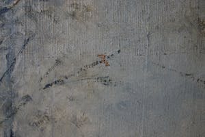 Niet of onleesbaar gesigneerd - Hollandse school (19e eeuw) - Winters boslandschap met paard en wagen kopen? Bied vanaf 1!