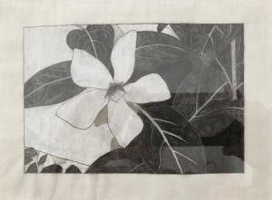 Mark Cohen - Work on paper N3 kopen? Bied vanaf 45!