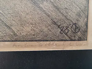 Aart van Dobbenburgh - Plant in bloempot. kopen? Bied vanaf 75!