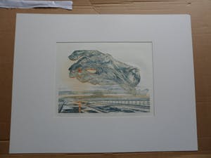 Lies Verdenius - Litho. Titel, "Verbrande vingers". uit 1979 kopen? Bied vanaf 20!
