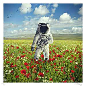 Mr. Strange - Champs de Fleurs sur la planète Terre verkocht voor € 50!