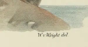 Wilhelm von Wright - Litho, Larus Marinus, uit Svenska foglar (...) kopen? Bied vanaf 20!