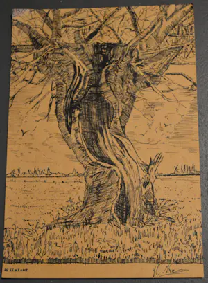 Antoon Markus - en anderen. Diverse tekeningen wo ingekleurd. kopen? Bied vanaf 20!