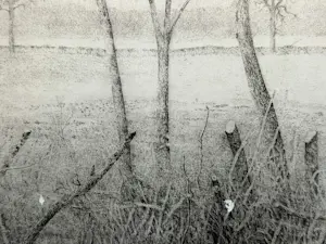 Charles Donker - Winterlandschap in Rhijnauwen kopen? Bied vanaf 120!