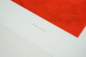 Armando - Rotes Bild - giclée, handgesigneerd en genummerd, 2014, ed. 30 kopen? Bied vanaf 75!