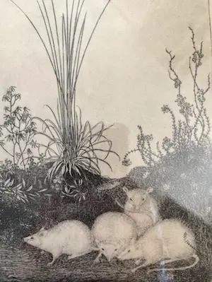 Jan Mankes - Originele Heliogravure - 4 Muizen 1923 kopen? Bied vanaf 50!
