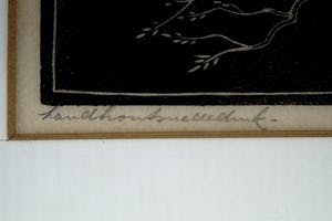 Jan Christiaan Maas - twee jonge vogels kopen? Bied vanaf 20!