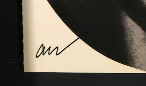 Andy Warhol - Gesigneerde exemplaar van Andy Warhol's Index (book) + Lou Reed record kopen? Bied vanaf 1!