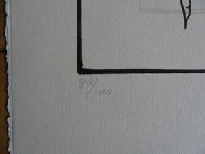 Pieter Becks - Kleurenhoutsnede. Titel: fruit en groente. kopen? Bied vanaf 35!