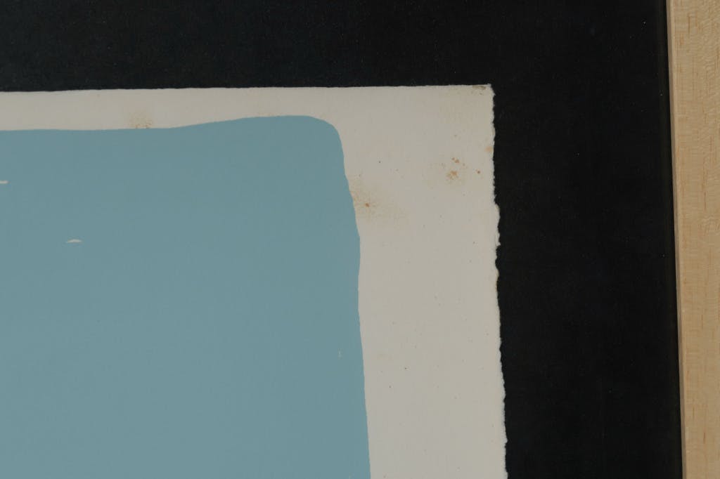 Darryl Hughto - Darryl Hughto: Zeefdruk, Snow blow - Ingelijst (Groot!) kopen? Bied vanaf 60!