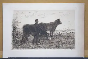 Jan Vrolijk - Boer met koeien kopen? Bied vanaf 15!
