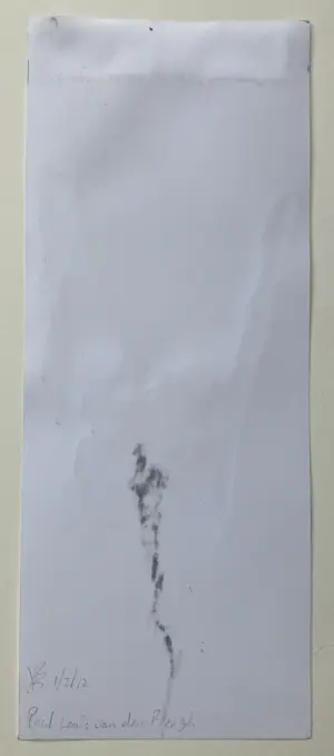 Paul Louis van den Bergh - Gemengde techniek - Gesigneerd kopen? Bied vanaf 100!