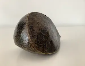 Brons (Onbekend) - Organische vorm kopen? Bied vanaf 95!