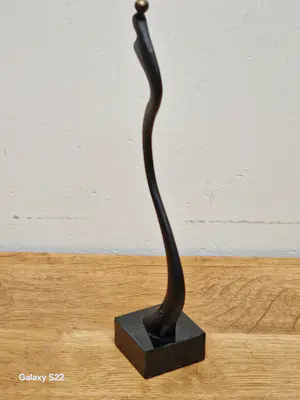 Corry Ammerlaan - Vloeiende beweging kopen? Bied vanaf 25!