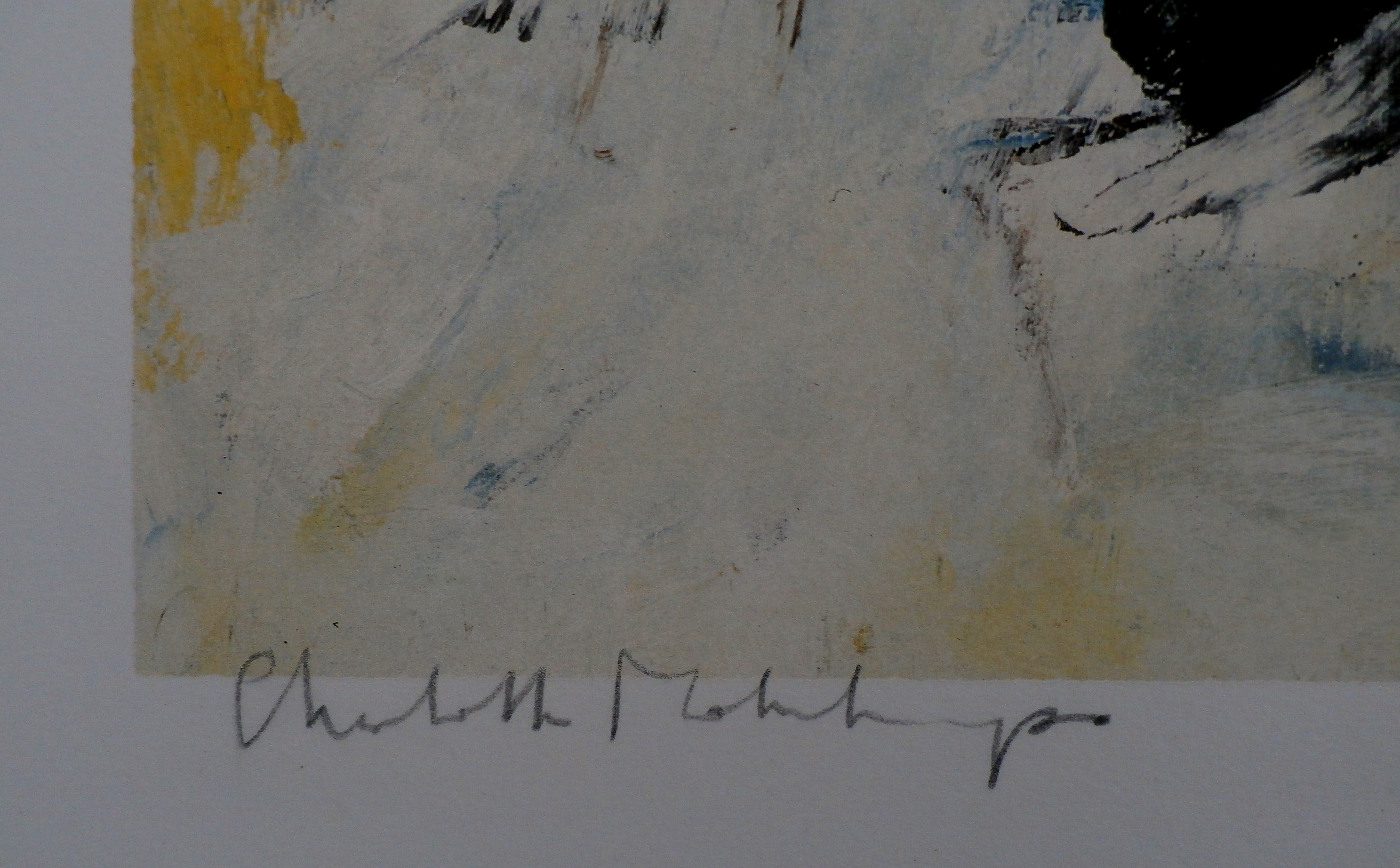 Charlotte Molenkamp - zeefdruk: kat kopen? Bied vanaf 75!