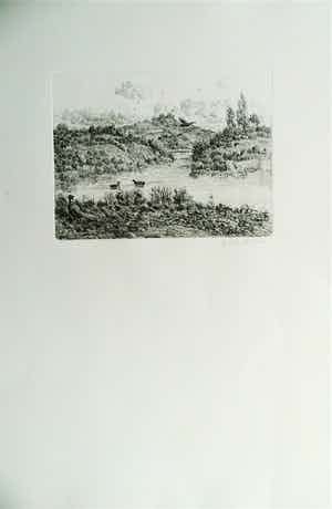 Gerard Lutz - duin idylle verkocht voor € 60!