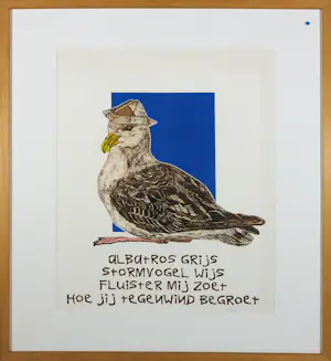 Els Maasson - Ets, Albatros - Ingelijst kaufen? Bieten Sie von 50!