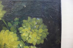 Kees van den Berg (I) - Chrysanten kopen? Bied vanaf 100!