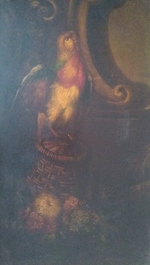 Niet of onleesbaar gesigneerd - Papegaai op een mand kopen? Bied vanaf 1!