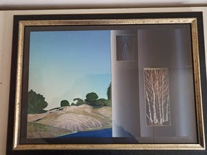 Antje Veldstra - Het ven, de hei, het Veen, de Aa kopen? Bied vanaf 100!