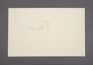 Melle Oldeboerrigter - Inkttekening op papier, z.t. Vlo kopen? Bied vanaf 80!