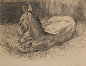 Kuno Brinks - ets, 2e staat - Veulen kopen? Bied vanaf 100!