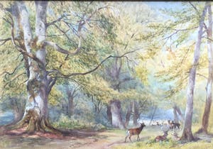 Henry Clark Pidgeon - C4010 - Roedel herten in New Forest 1870 kopen? Bied vanaf 600!