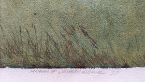 Michel van Overbeeke - Mijn wortels zullen uw liefde drinken kopen? Bied vanaf 95!