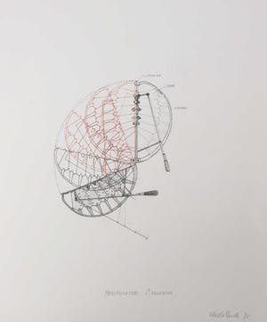 Inez Vandeghinste - Potloodtekening, Manipulator 1e beweging kopen? Bied vanaf 20!