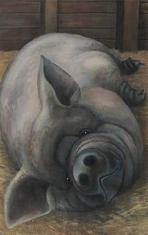 Niet of onleesbaar gesigneerd - Acryl op papier, Liggend varken - Ingelijst kopen? Bied vanaf 10!