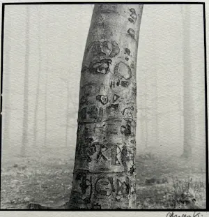 Ralph Janowski - 2x zeefdruk kopen? Bied vanaf 32!