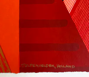 Ronald Boonacker - Tulpenvelden, Holland kopen? Bied vanaf 83!