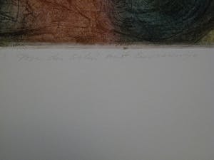 Sam Parabirsingh - POSE DU SOLEIL MET EUROSIENTJE/ POSE DU SOLEIL MET ZWAARDVIS kopen? Bied vanaf 75!