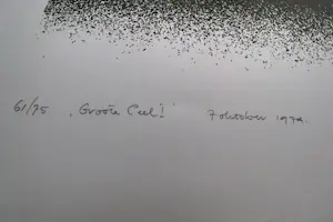 Piet Fioole - Fraaie, in 1974 gemaakte kleuren zeefdruk "Groote Peel I" - bep. oplage (75) kopen? Bied vanaf 45!