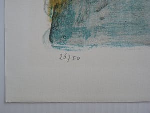 Jeroen Hermkens - MONS VAR kopen? Bied vanaf 65!