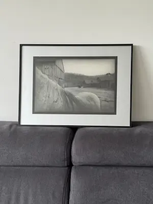 Robb Buitenman - paard voor schuur? kopen? Bied vanaf 10000!