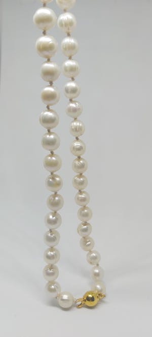 Zoetwaterparel Collier 14K gouden slotje 49cm kopen? Bied vanaf 65!