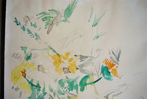 Carel Lion Cachet - aquarel in een Heijdenrijk lijst kopen? Bied vanaf 125!