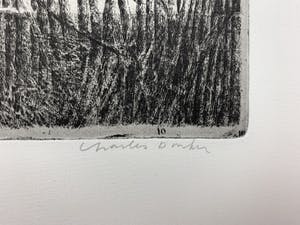 Charles Donker - ets - 'Eendekooi' - Definitieve VIIe staat - 1984 (GROOT) kopen? Bied vanaf 500!