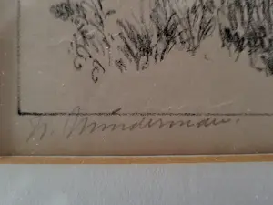 Willem Minderman - "Canne". kopen? Bied vanaf 49!