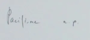 Rob Scholte - Zeefdruk: Pacifisme - 1998 kopen? Bied vanaf 155!