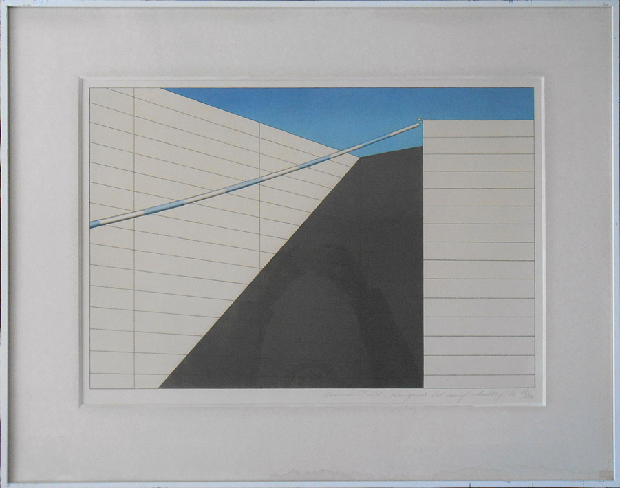 Marinus Fuit - Hangende lat vanaf schutting, litho 1981. verkocht voor € 60!