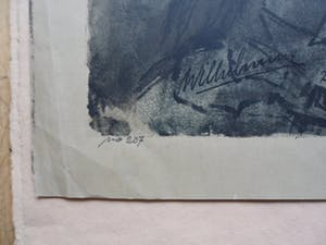 Wilhelmina van Oranje-Nassau - , Berglandschap, Litho uit 1933. kopen? Bied vanaf 60!