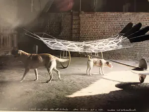 Panamarenko - Raven's variable matrix - Originele poster kopen? Bied vanaf 70!
