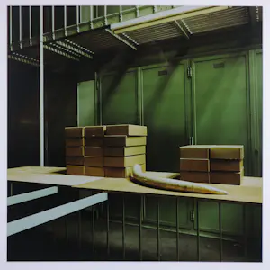 Paul den Hollander - Fotografie, Z.T - Ingelijst kopen? Bied vanaf 50!