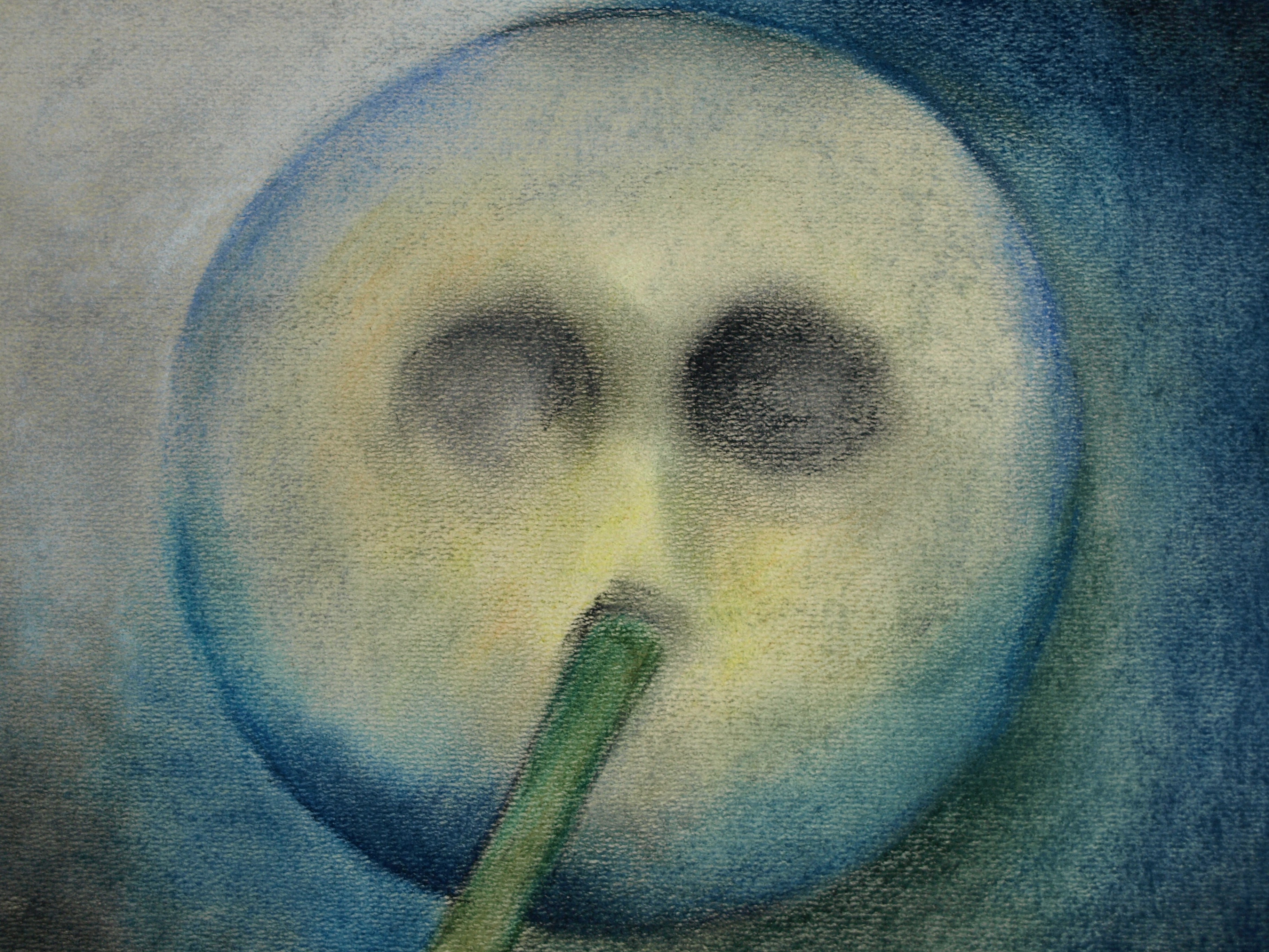 Niet of onleesbaar gesigneerd - Pasteltekening – Emoticon erased - ingelijst  kopen? Bied vanaf 1!